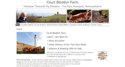 Desktop Screenshot of courtbleddyn.com